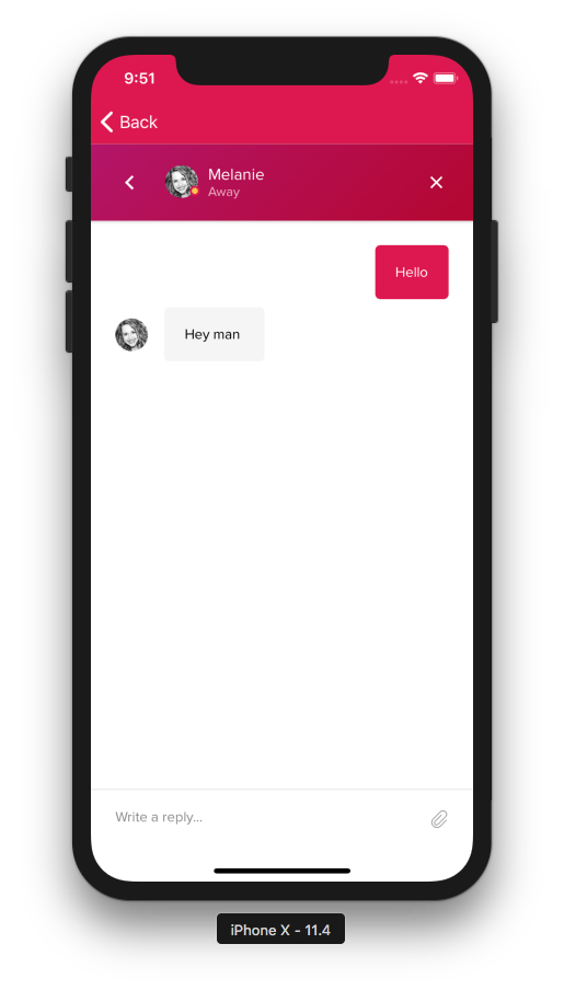 screen shot 2018-06-02 at 9 51 41