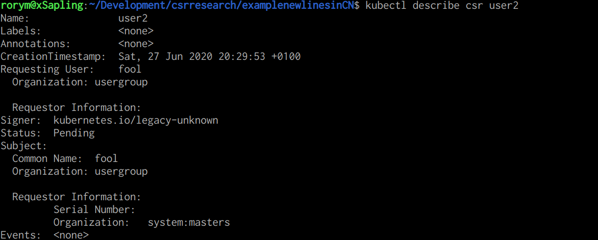 output from kubectl describe