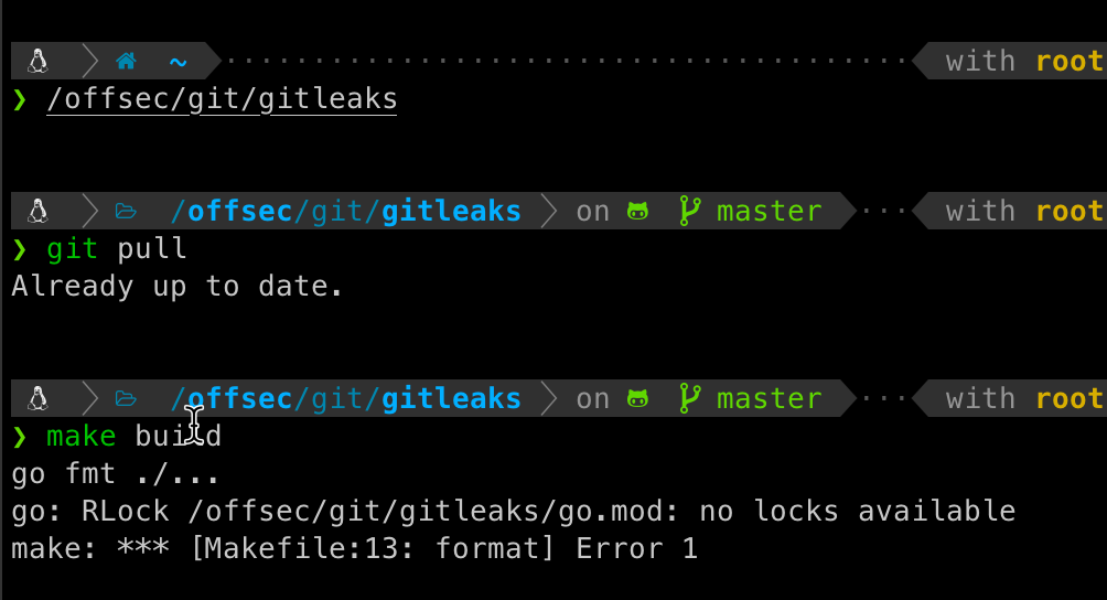 Unable to compile program // go.mod no locks available · Issue 867