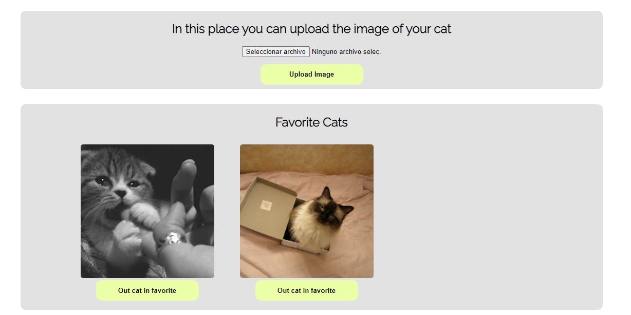 GitHub - ElianRuiz99/The-Cat