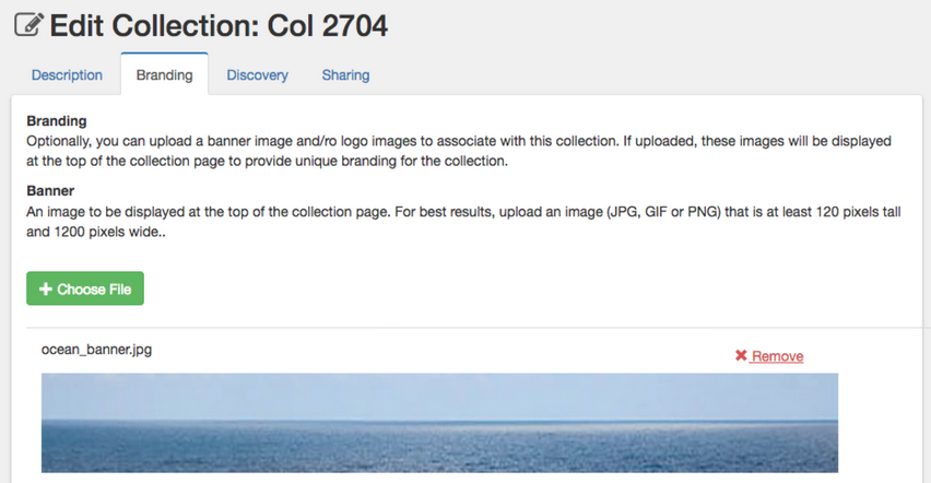 Collections Remove Alt Text For Banner On Edit Form Branding Tab