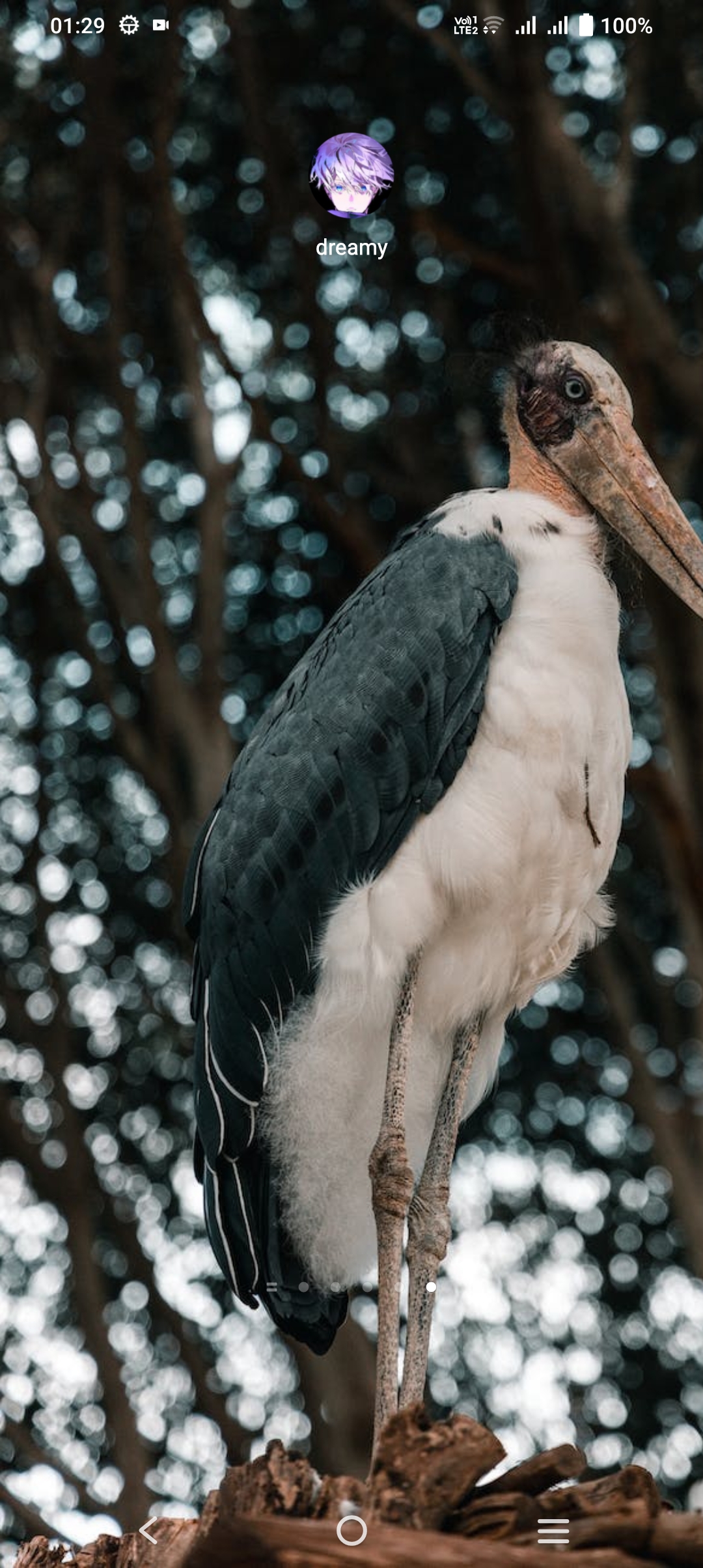 GitHub auroraraose/Dreamy A wallpaper application made into a world