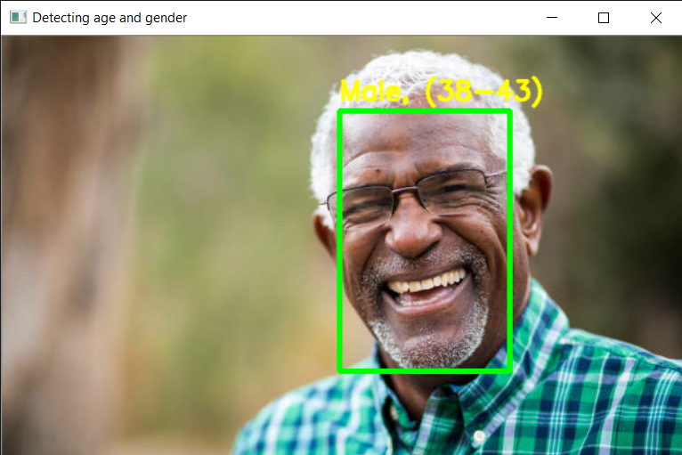 GitHub - aisolutions353/Age-Gender-Classifier-using-computer-vision