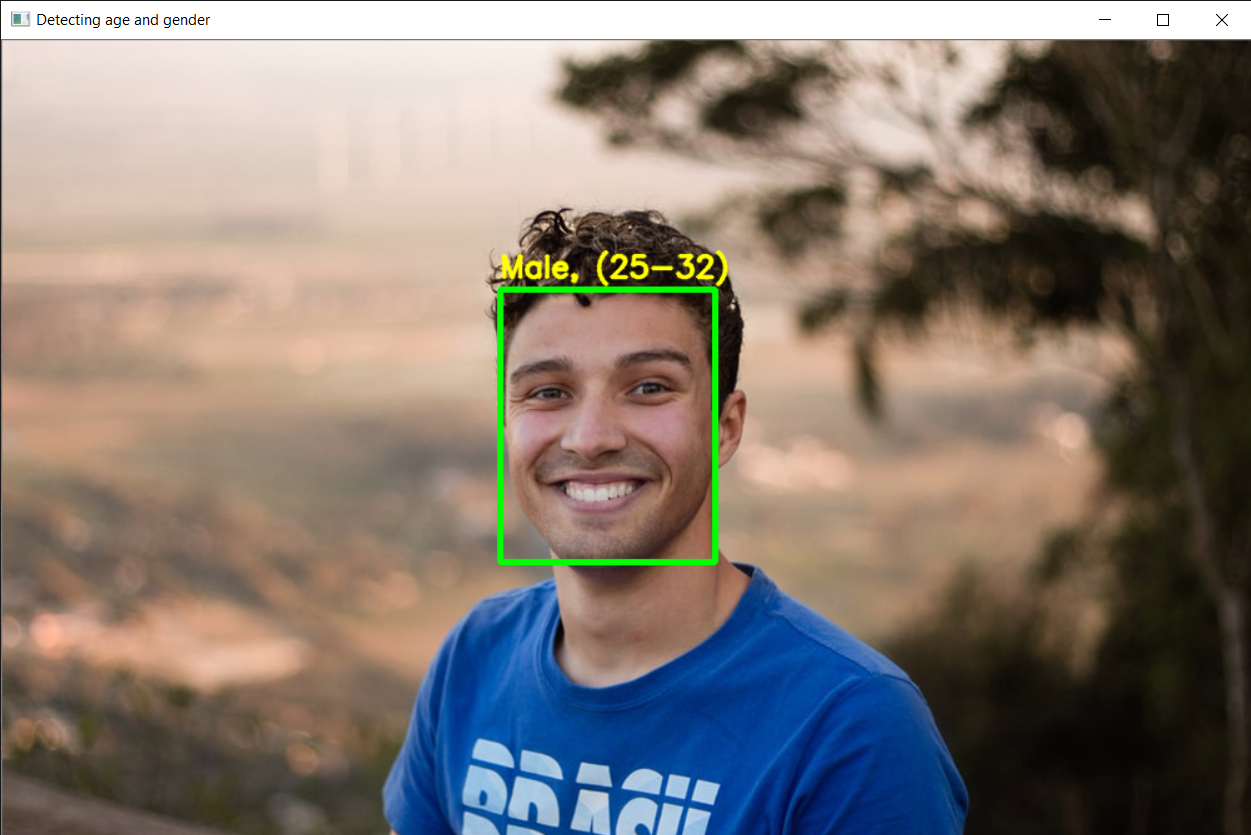 GitHub - aisolutions353/Age-Gender-Classifier-using-computer-vision