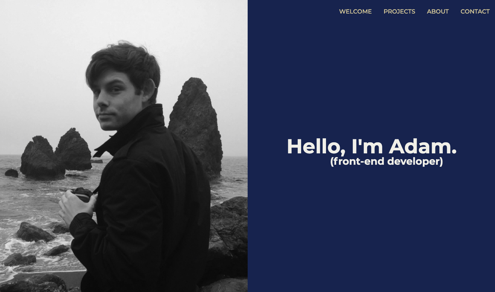 GitHub - aemann2/portfolio_v2: A professional portfolio...again