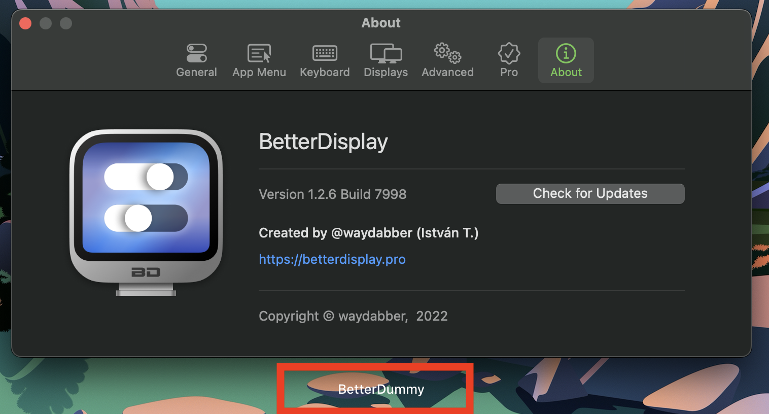 Screen Shot 2022-06-25 at 1 37 39 PM
