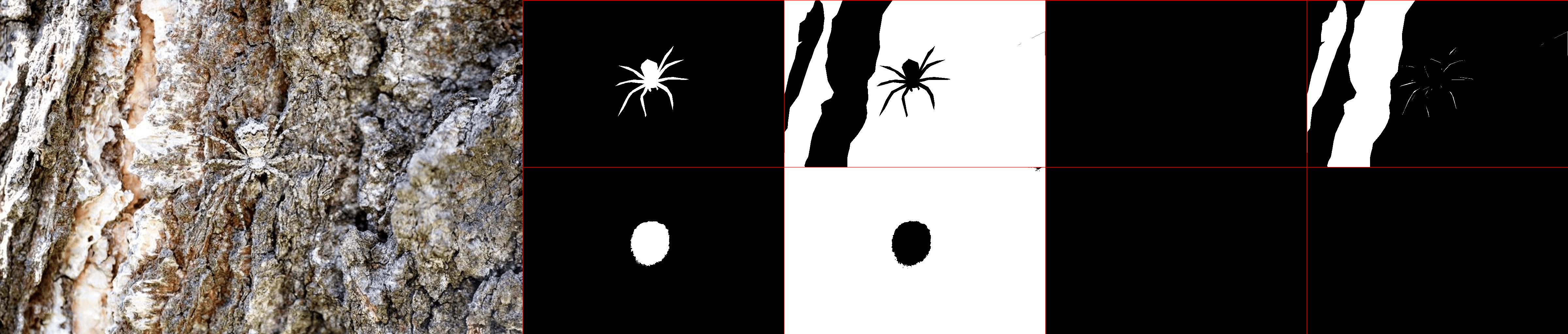 GitHub - szejkerek/AnimalDetection: Sem. VI Neural networks created to ...