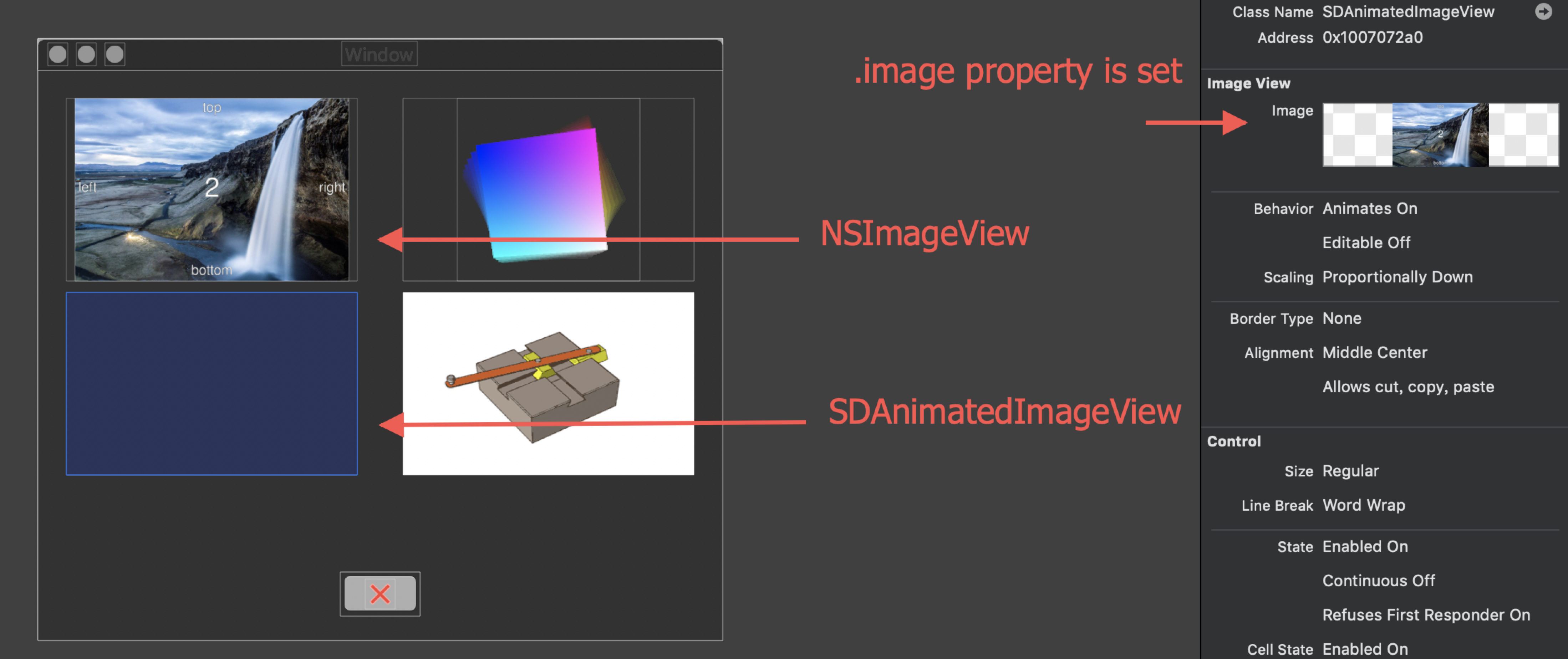 Static Image Error Bug: macOS's SDAnimatedImageView can not render static image (normal ...