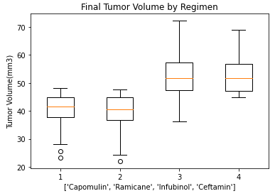 GitHub - saif-gorges/Tumor-Growth-Analysis: This project uses ...