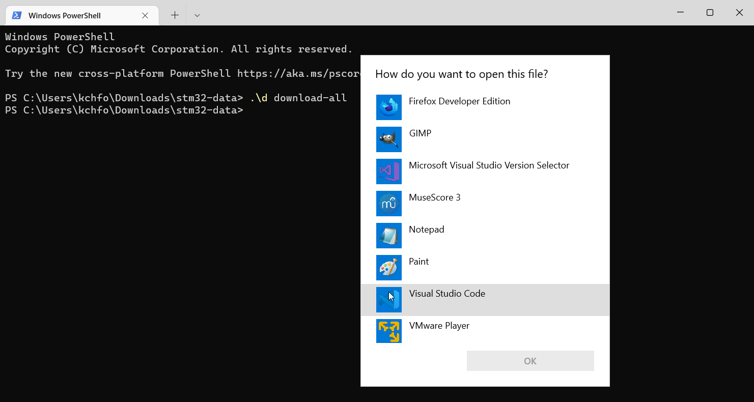 WindowsTerminal_zyX7IbUA46
