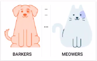 Screenshot 2020-12-23 at 7 03 05 PM