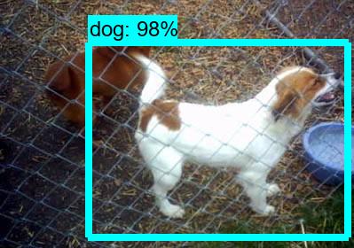 GitHub - CMDTausif/Animal-Detection-Using-Tensorflow-Object-Detection ...
