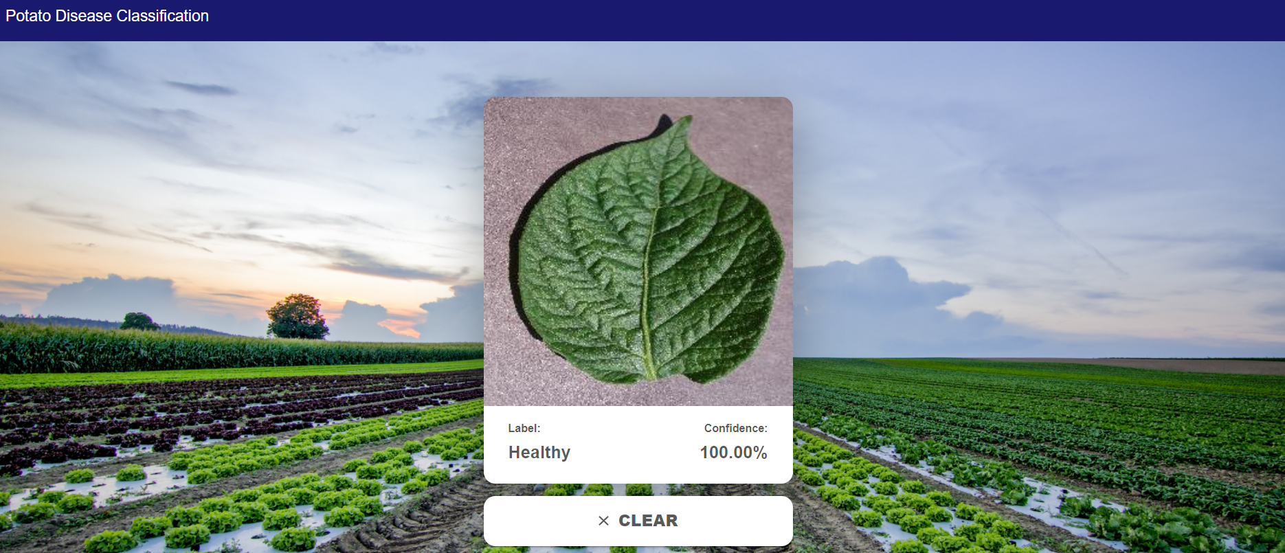 GitHub - ketanmewara/Plant-Disease-Classification · GitHub