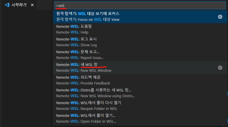 Visual Studio Code 기반의 WSL 개발 환경 만들기 | NASA1515 Blog