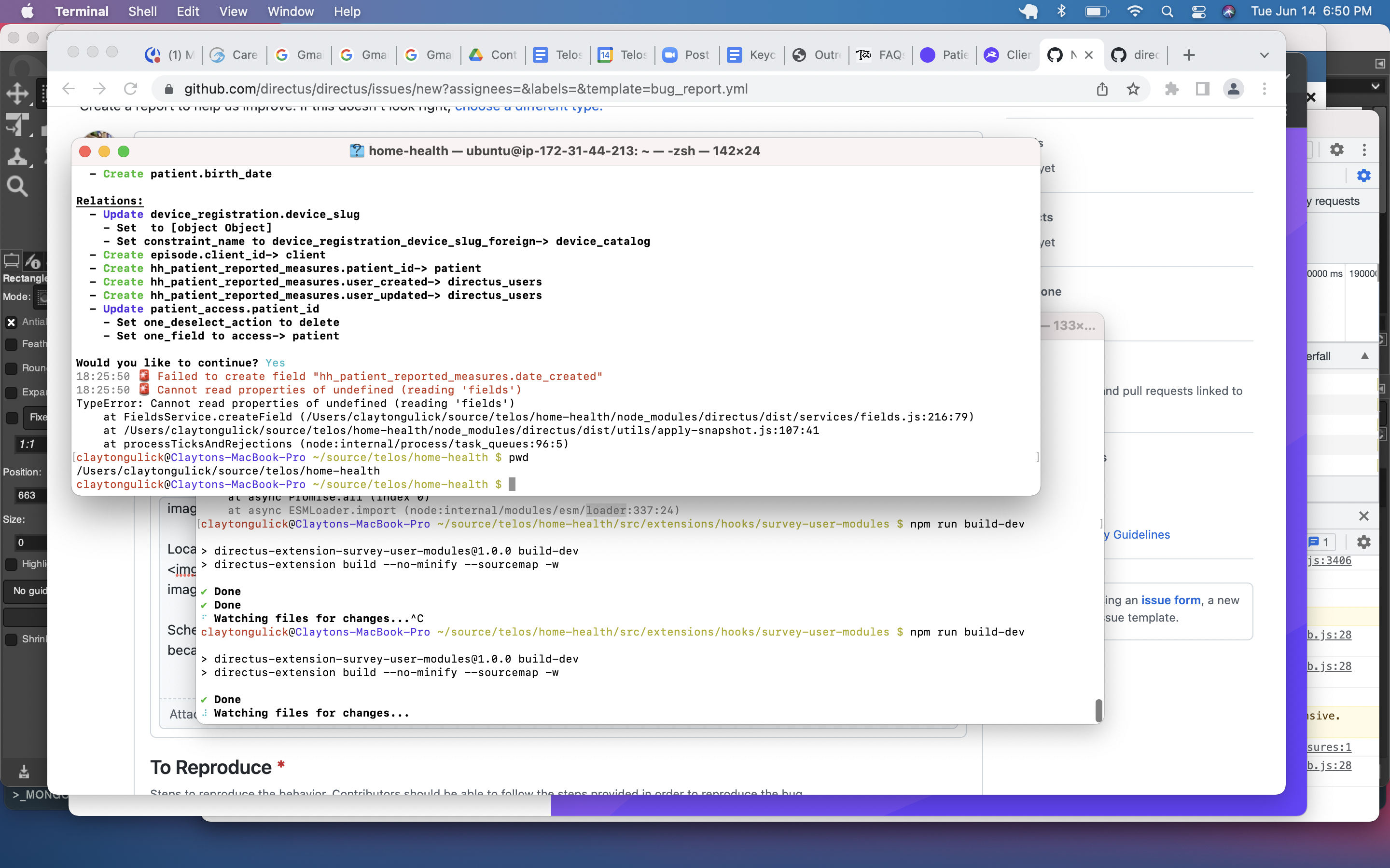 Error syncing schemas with nested collection · Issue #13894 · directus ...
