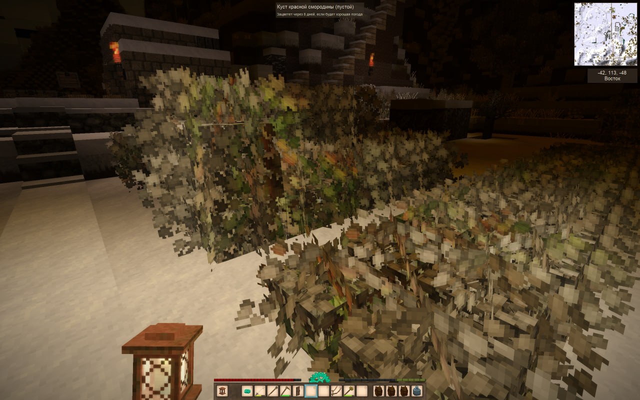 Biome or lighting bug · Issue #2452 · anegostudios/VintageStory-Issues ...