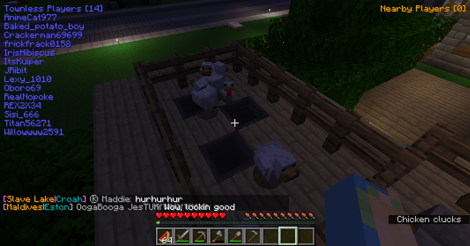 [BUG] Chickens despawn even with nametags. · Issue 1381 · EarthMC