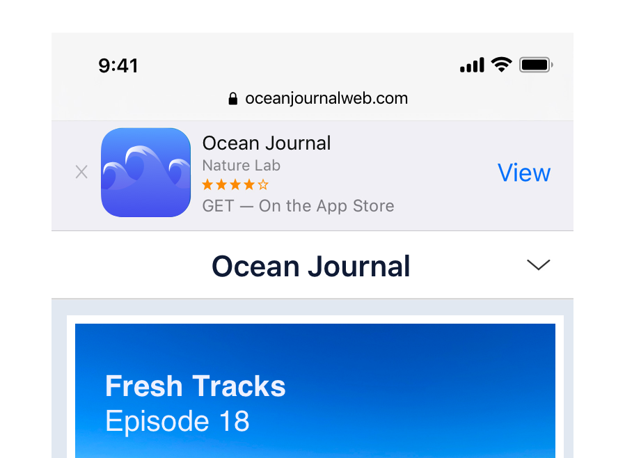 Add a Smart App Banner to Files to easily open in iOS app · Issue