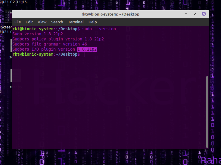 Screenshot from 2021-02-11 20-15-10