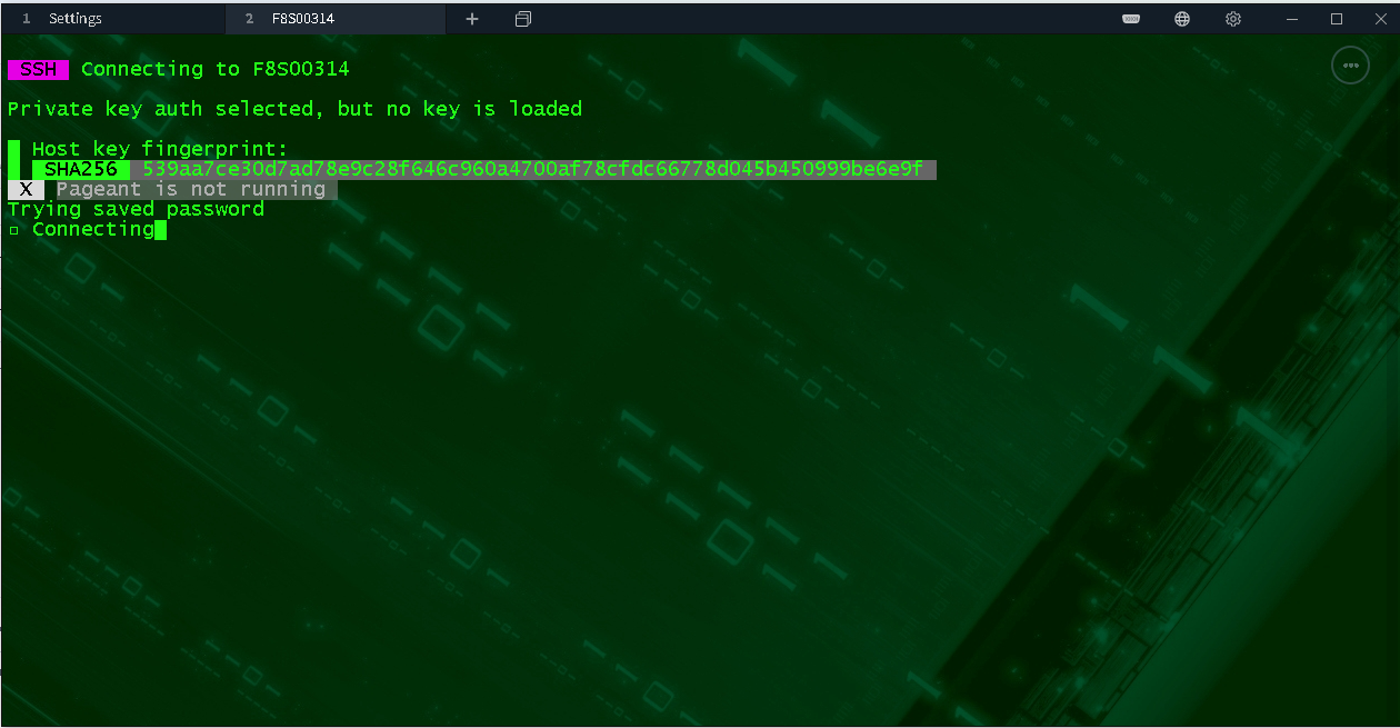 Issue: Pageant is not running · Issue #2939 · Eugeny/tabby · GitHub