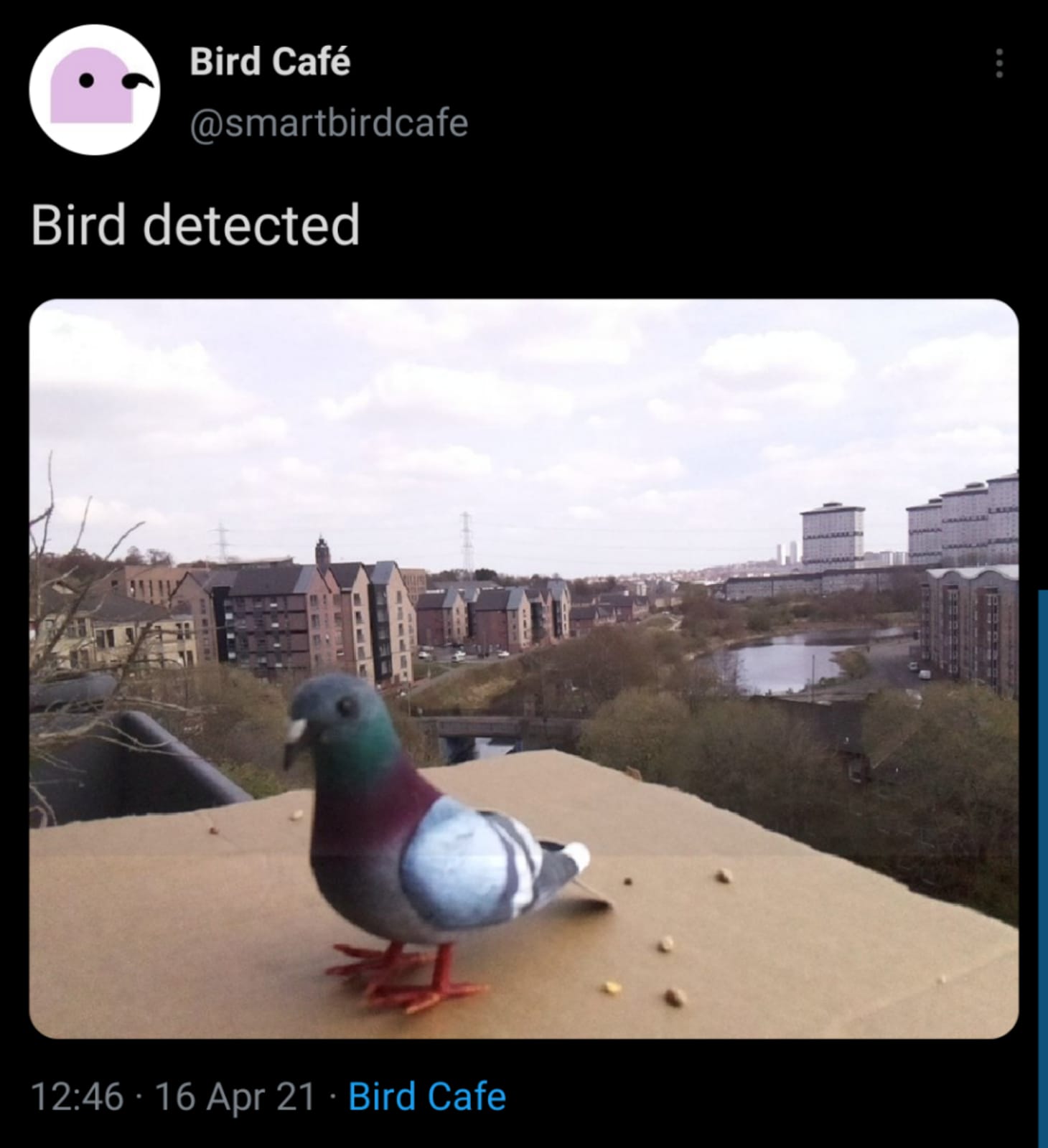 birdTweet