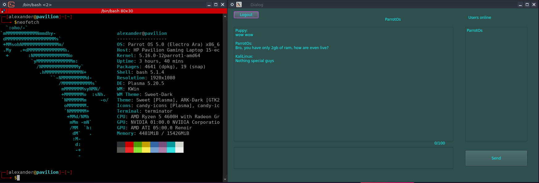 GitHub - raik199x/Client-server-Chat-linux: Course project for bsuir 4 ...