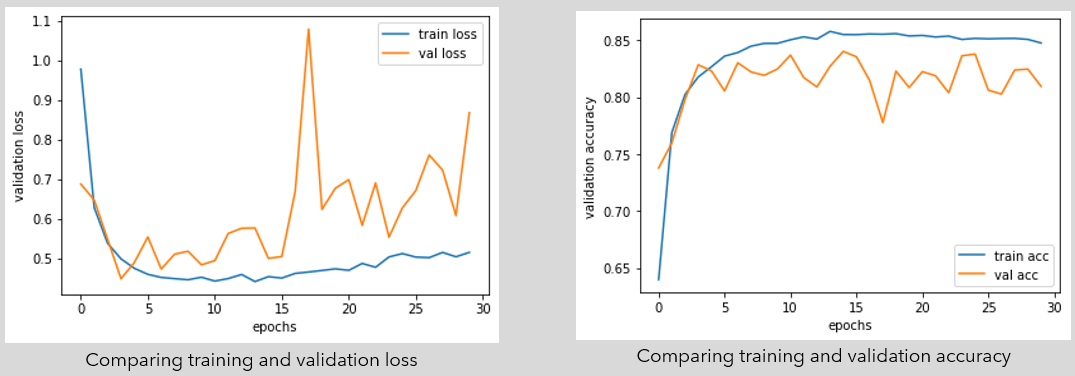 GitHub - eresmini/Spice-Classification-with-CNNs: This project involved ...