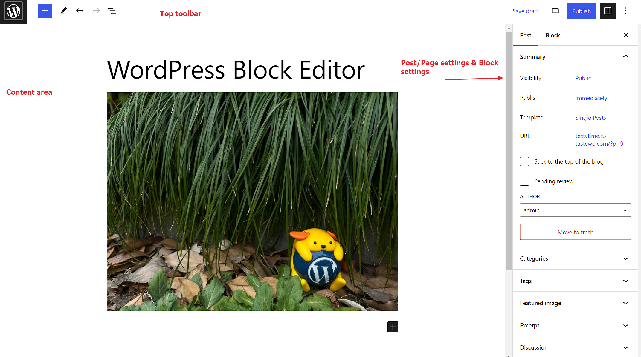 WordPress Block Editor in full-screen mode