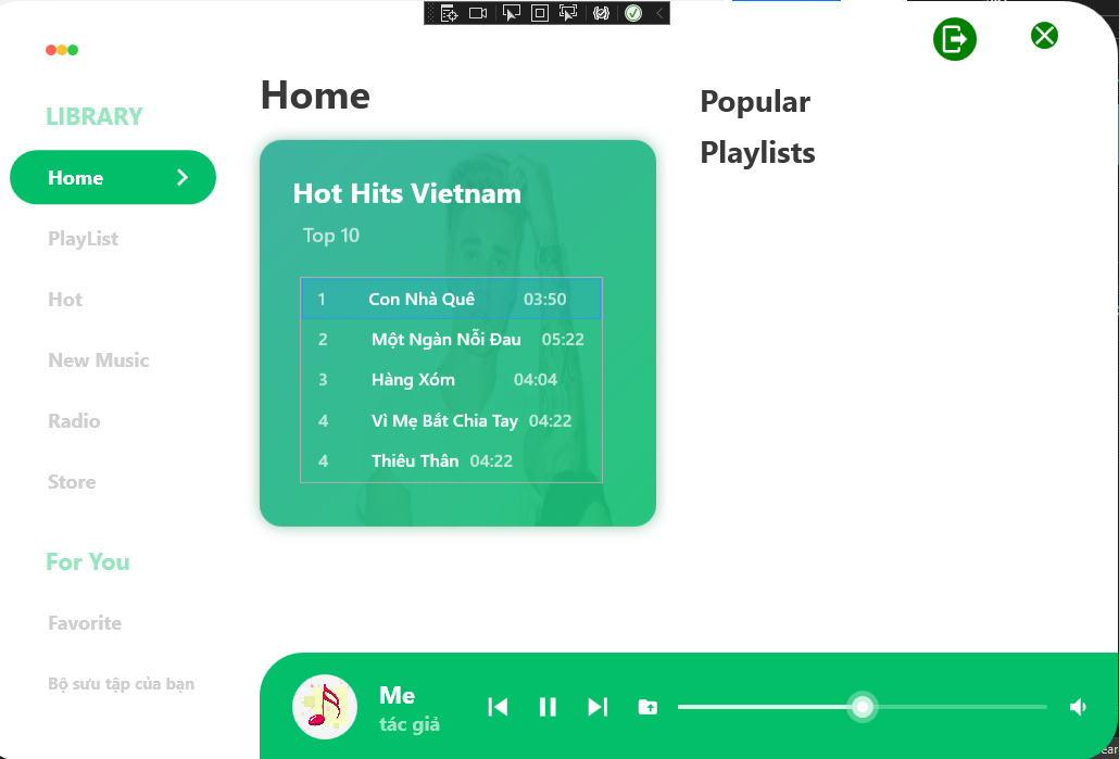 GitHub - BisCDot/MusicPlayerWPF