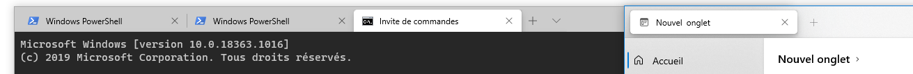 Add Terminals In Tabs · Issue #1807 · files-community/Files · GitHub