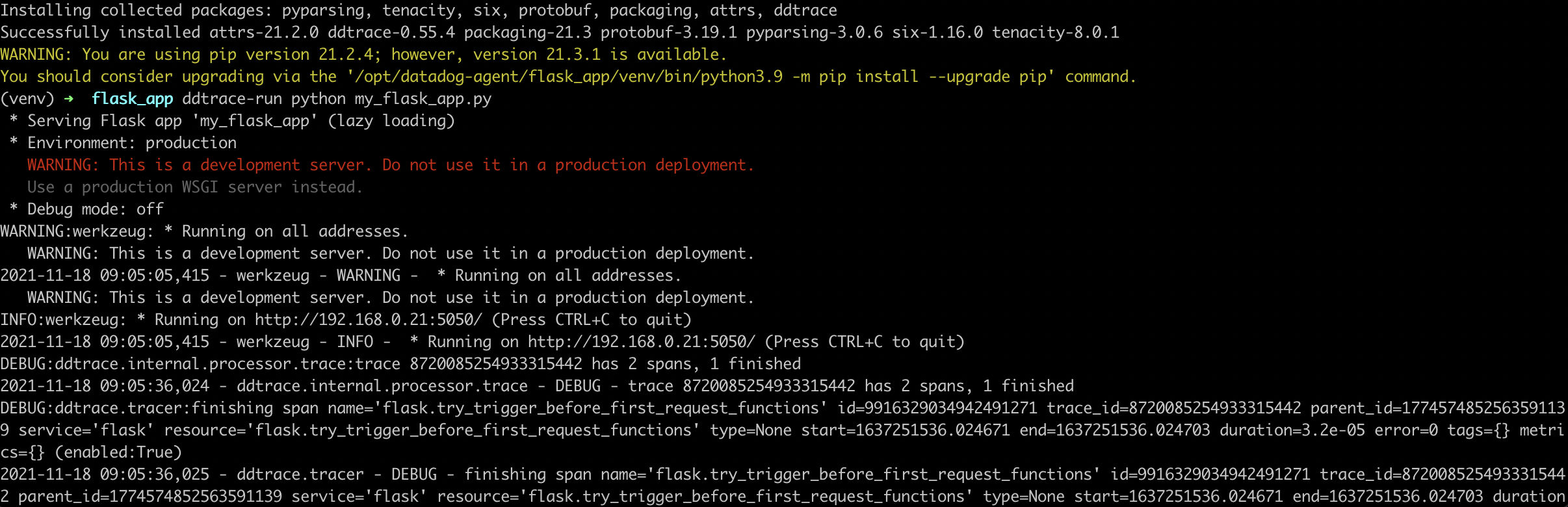 Terminal running flask app