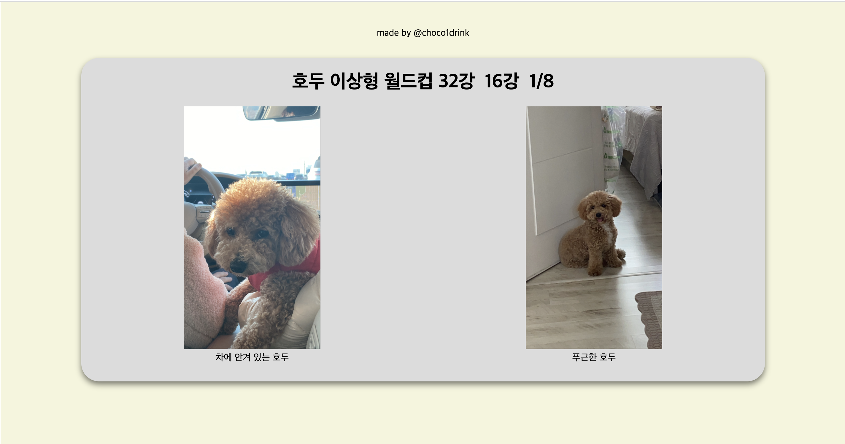 스크린샷 2022-02-22 오전 10 19 21