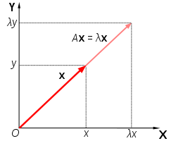 250px-Eigenvalue_equation svg