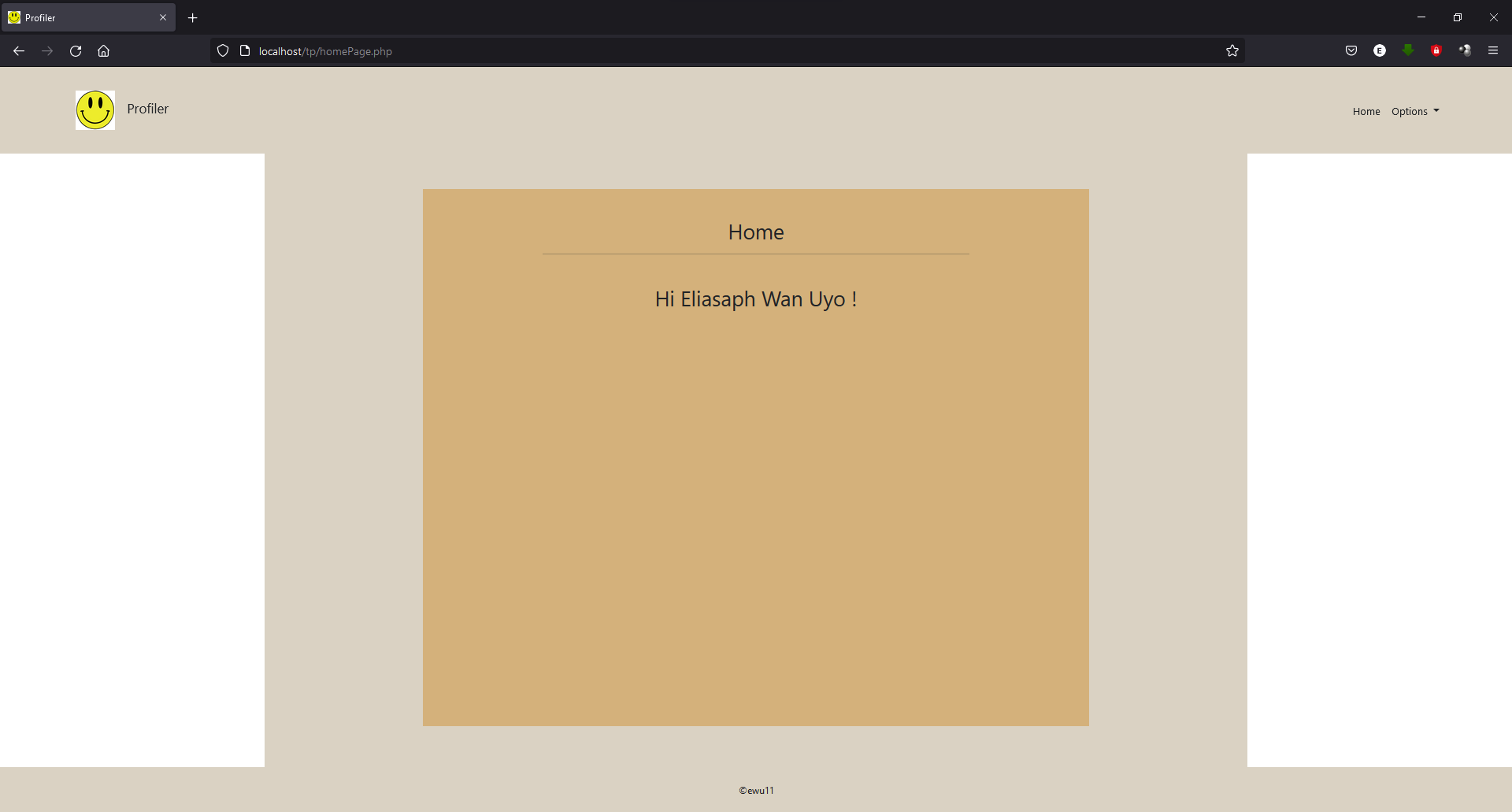 GitHub - ewu11/TheProfiler: This project is a simple web profiler project.