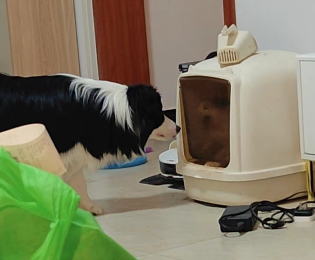 家庭年度最佳摄影:边界感