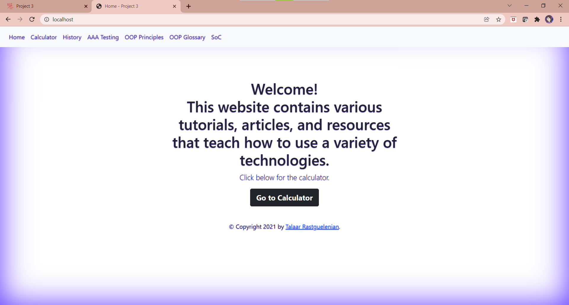 GitHub - tlr24/calc_project