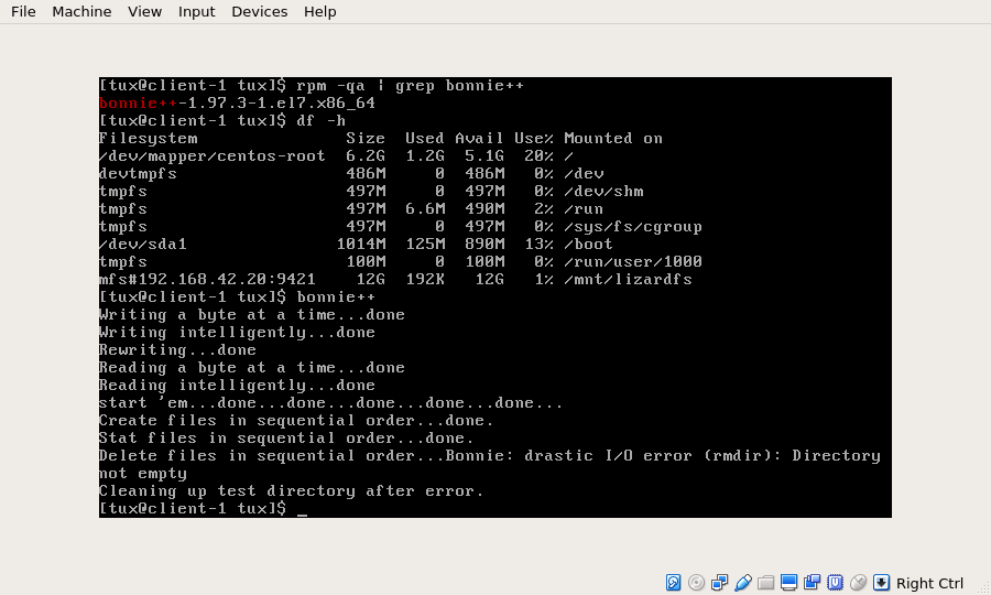 lizardfs_bonnie _error 1