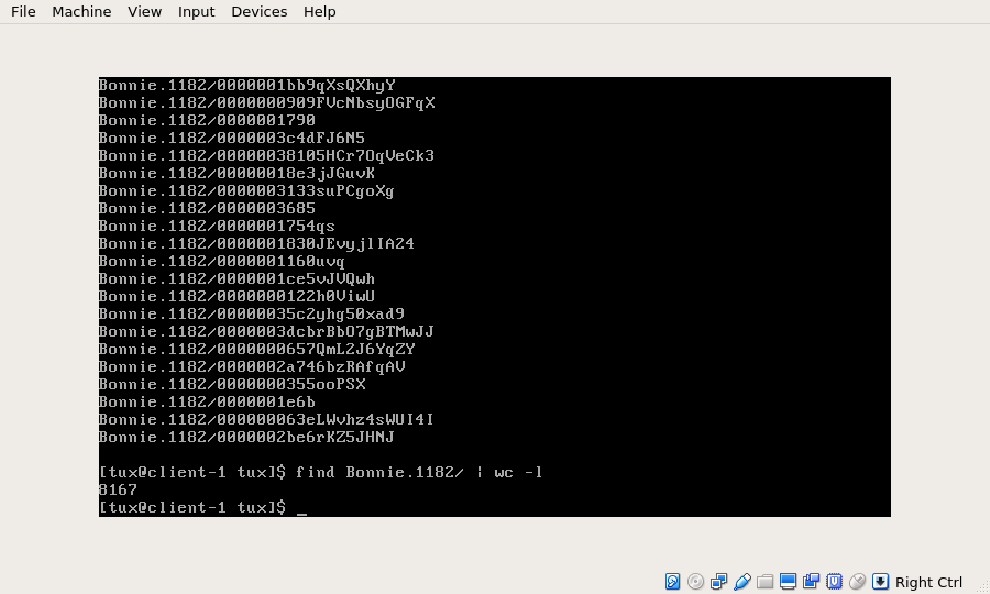 lizardfs_bonnie _error 3