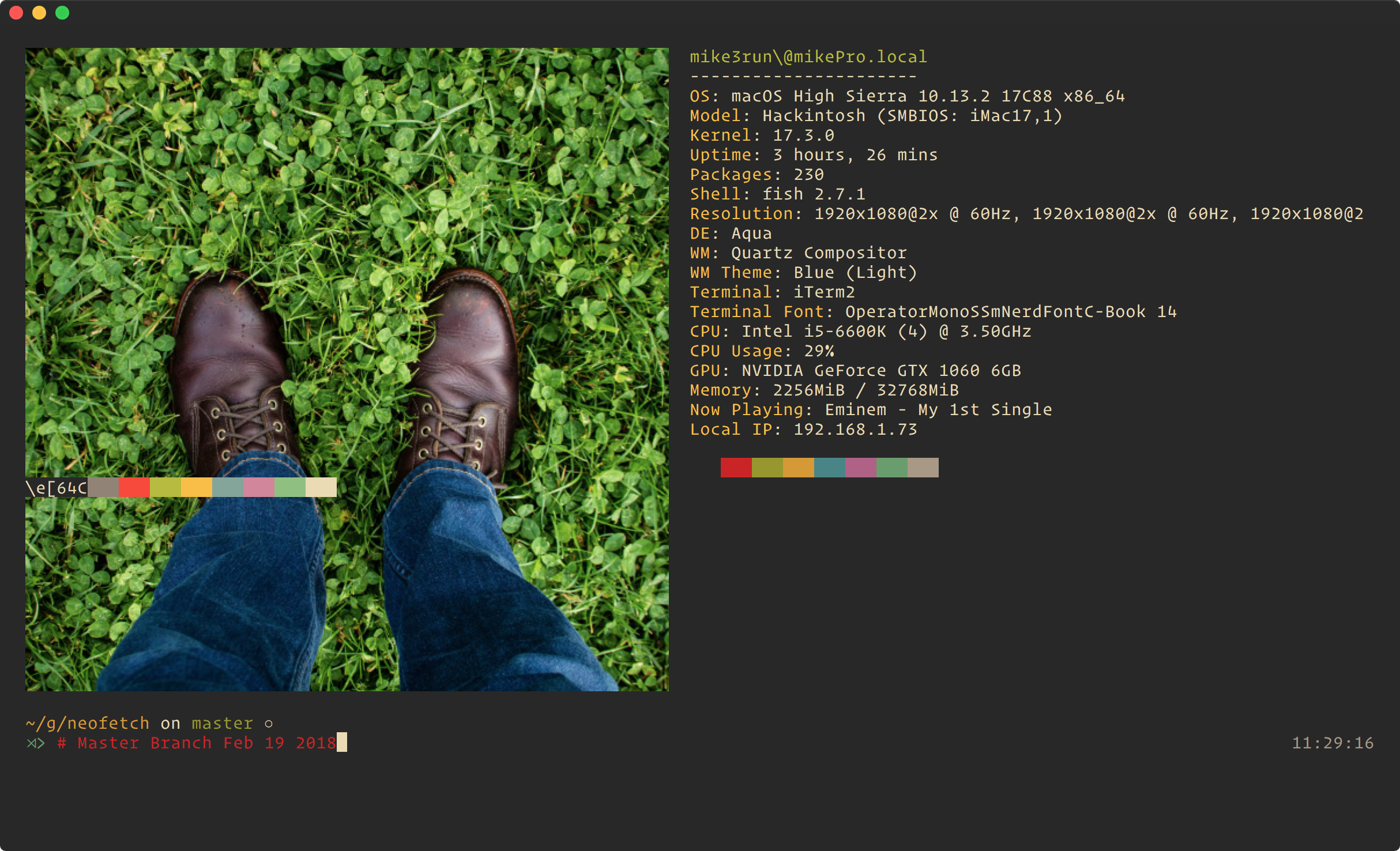 Color scheme rendering issues · Issue #890 · dylanaraps/neofetch · GitHub