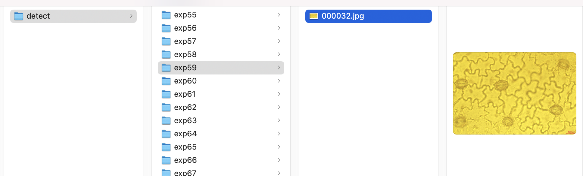 I try to use custom trained model to detect some pictures but I detect ...