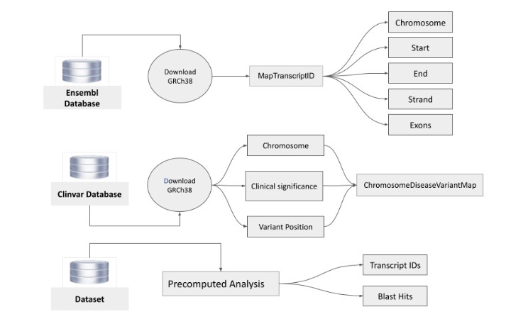 GitHub - bilgeekara/lncRNA-analysis-and-preprocessing: lncRNA analysis ...