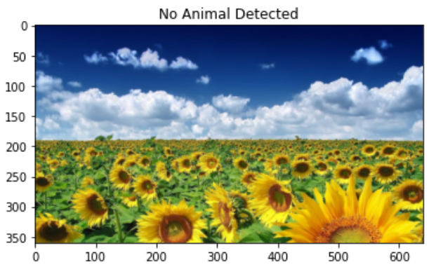 GitHub - hovav698/Simple-Object-Detection: Implement object detection ...