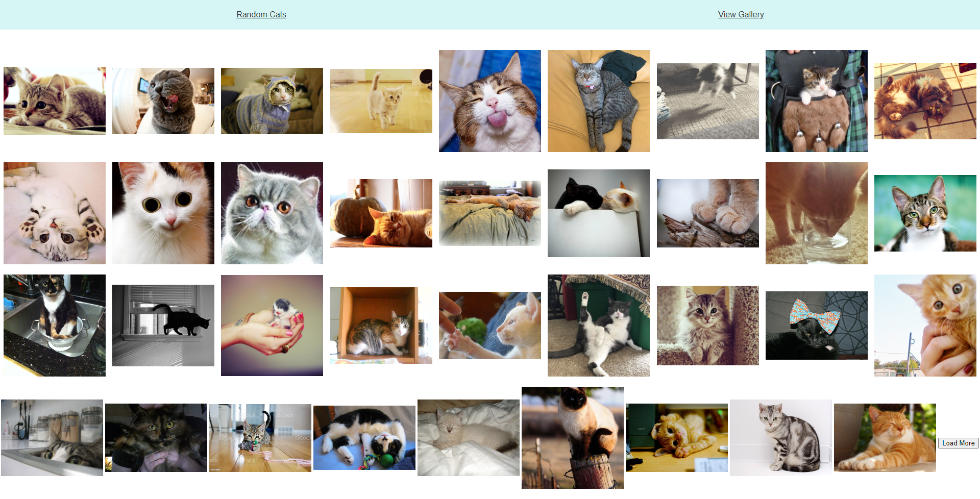GitHub - anas-01/thecatapi: The Cat Api
