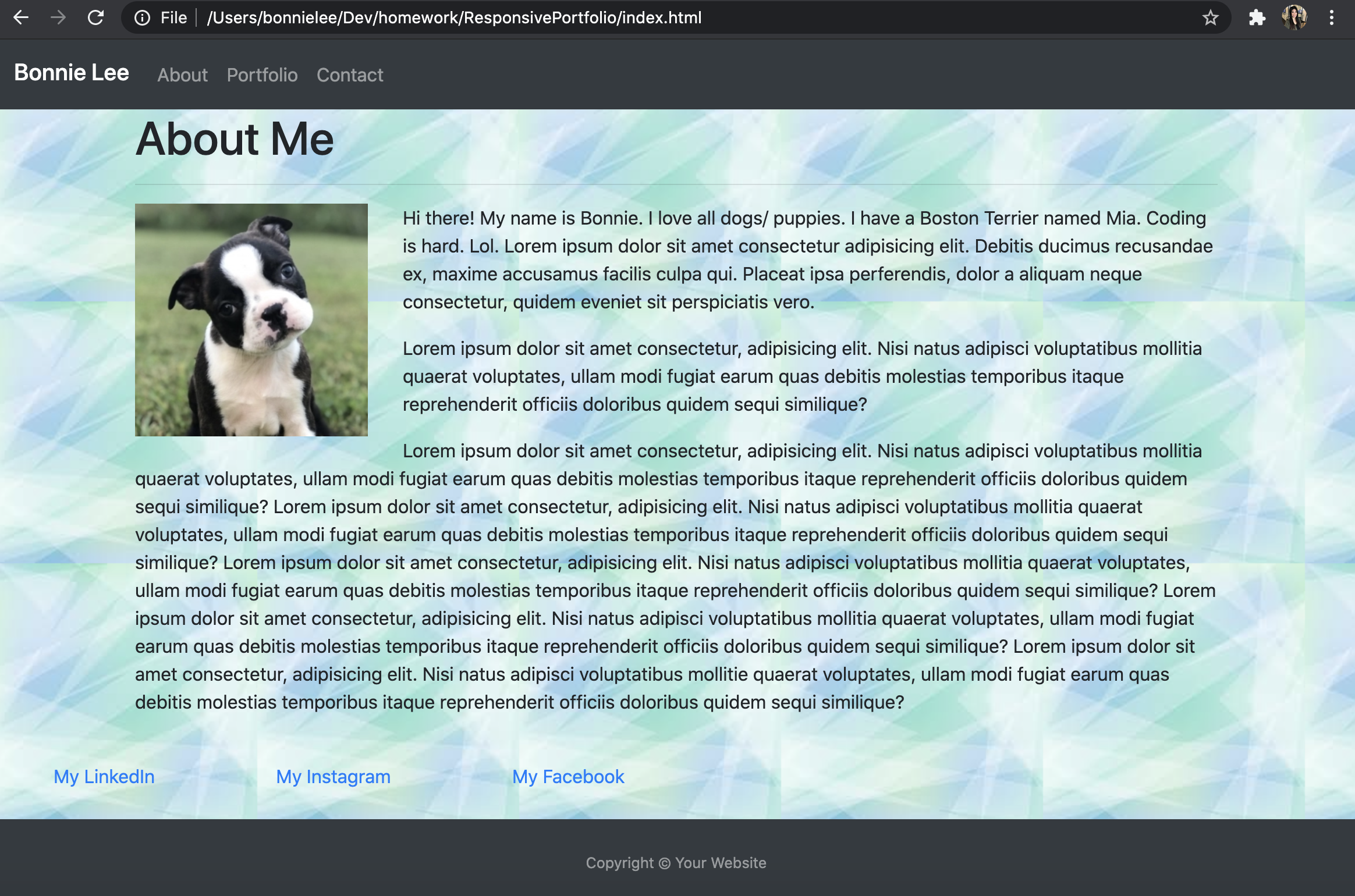 GitHub - BLee8489/ResponsivePortfolio: Homework 2 - CSS and Bootstrap ...