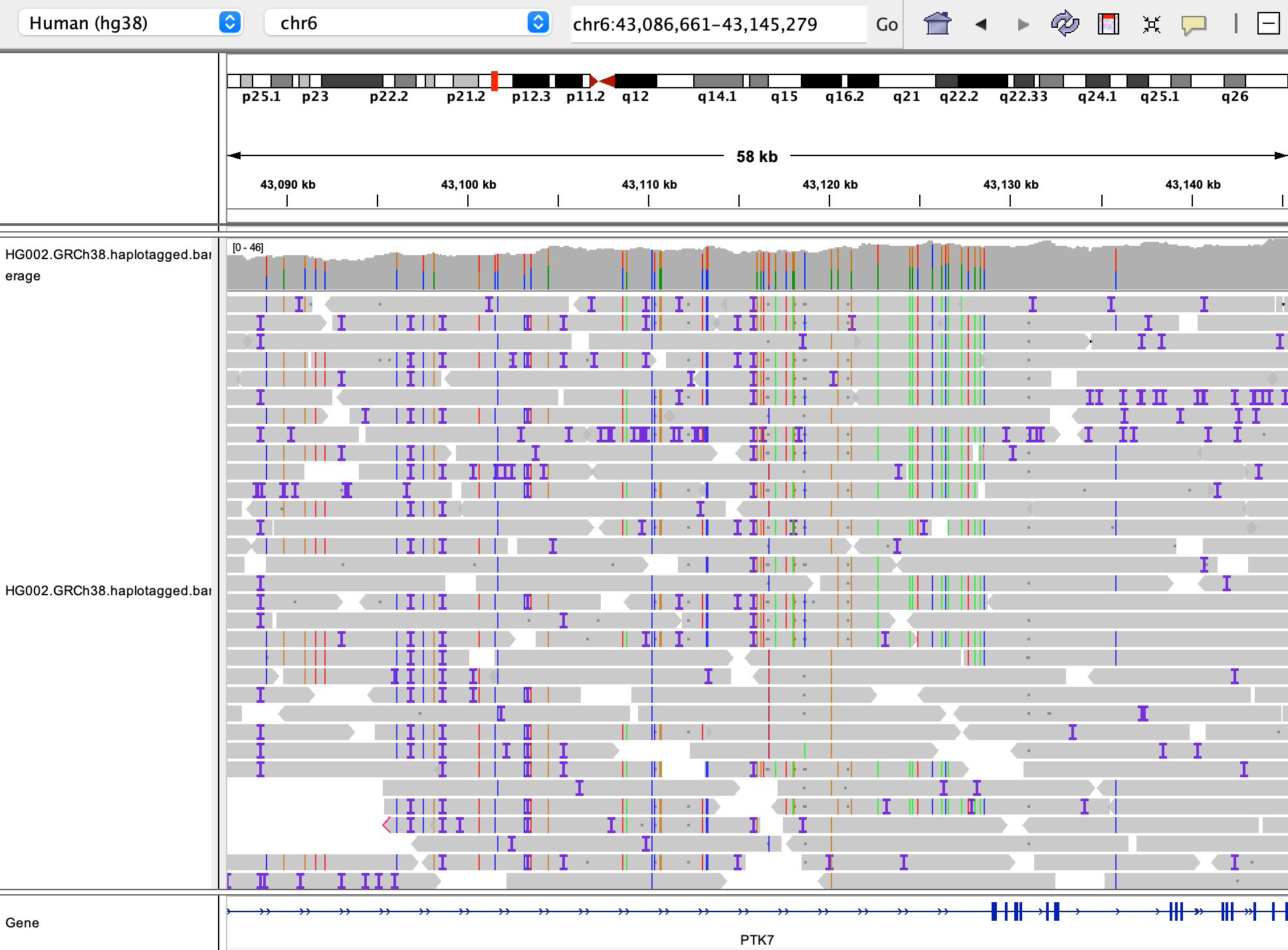 IGV not showing deletions · Issue #1175 · igvteam/igv · GitHub