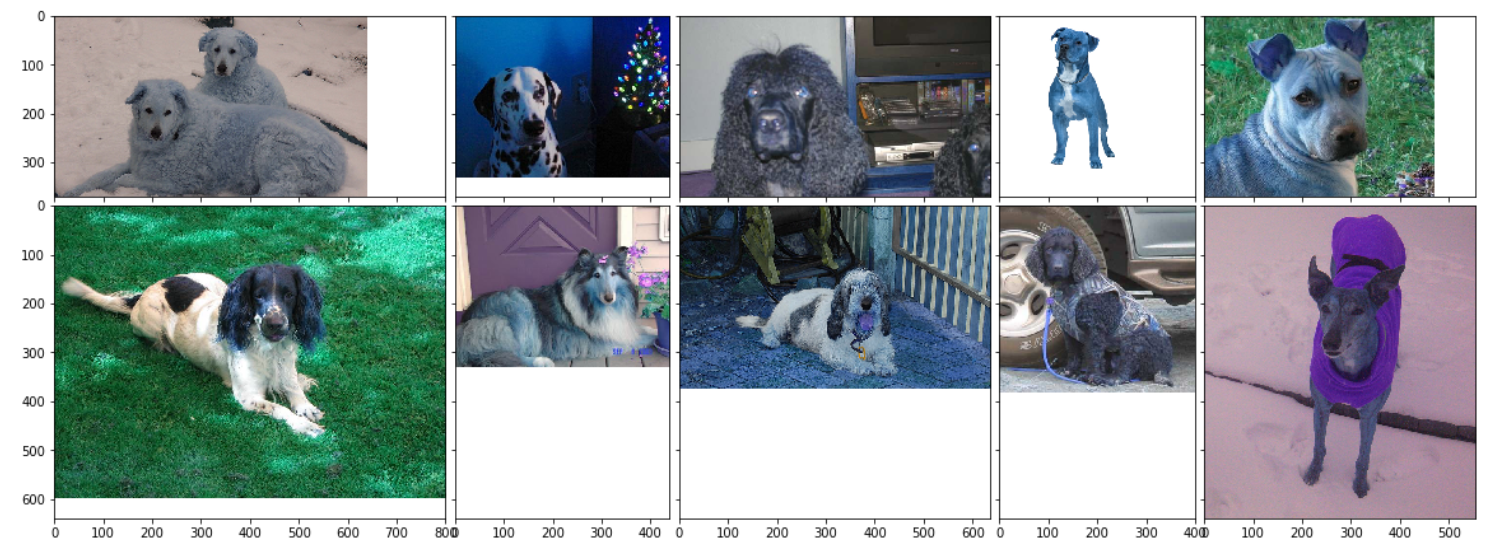 GitHub - ChrystianGreen2/Dog-Breed-Classification