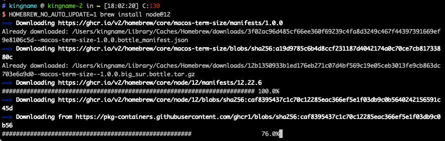 HOMEBREW_NO_AUTO_UPDATE=1 environment variable does not work · Issue ...