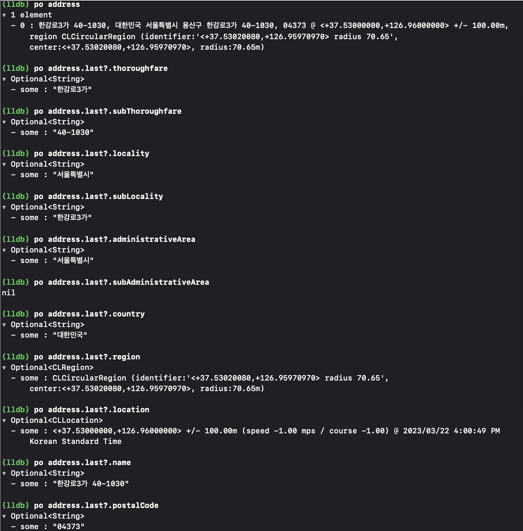 CLGeocoder LLDB로그