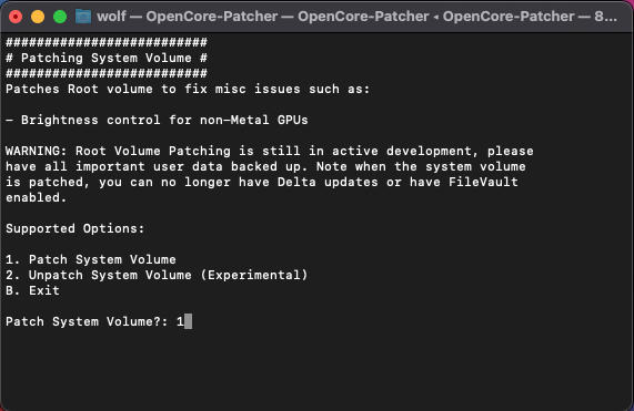 1-Patch-System-Volume