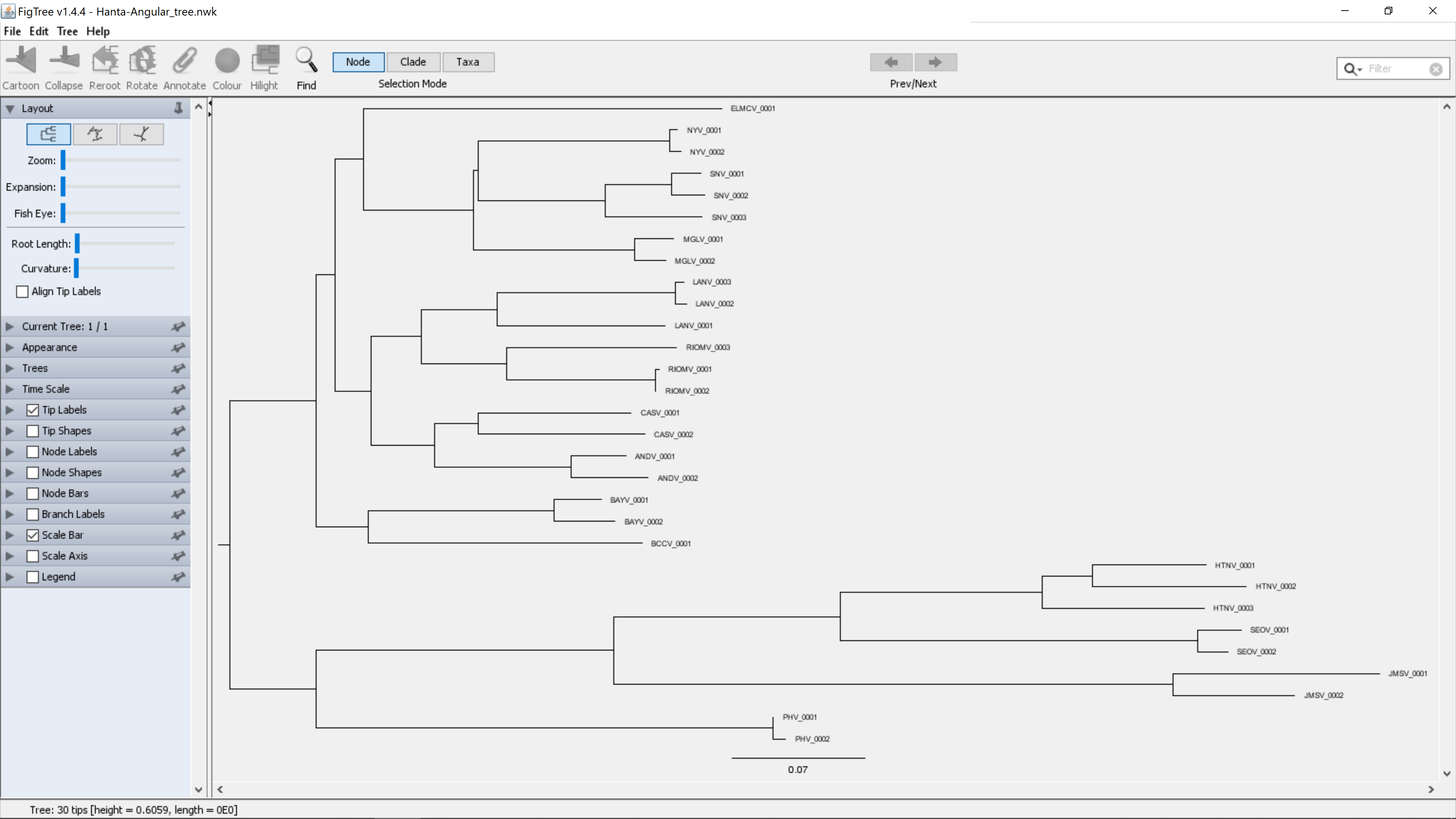 ANGULAR: NWK file downloaded from Phylogeny view does not display in ...